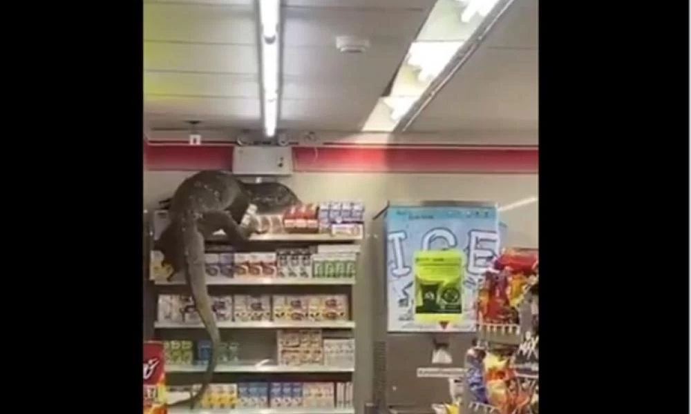 Έπαθαν σοκ μόλις είδαν το «τέρας» μέσα στο σούπερ μάρκετ